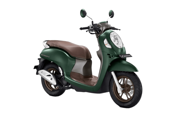 scoopy